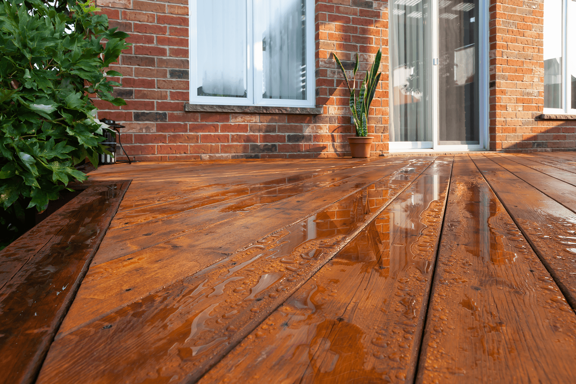 deck builders